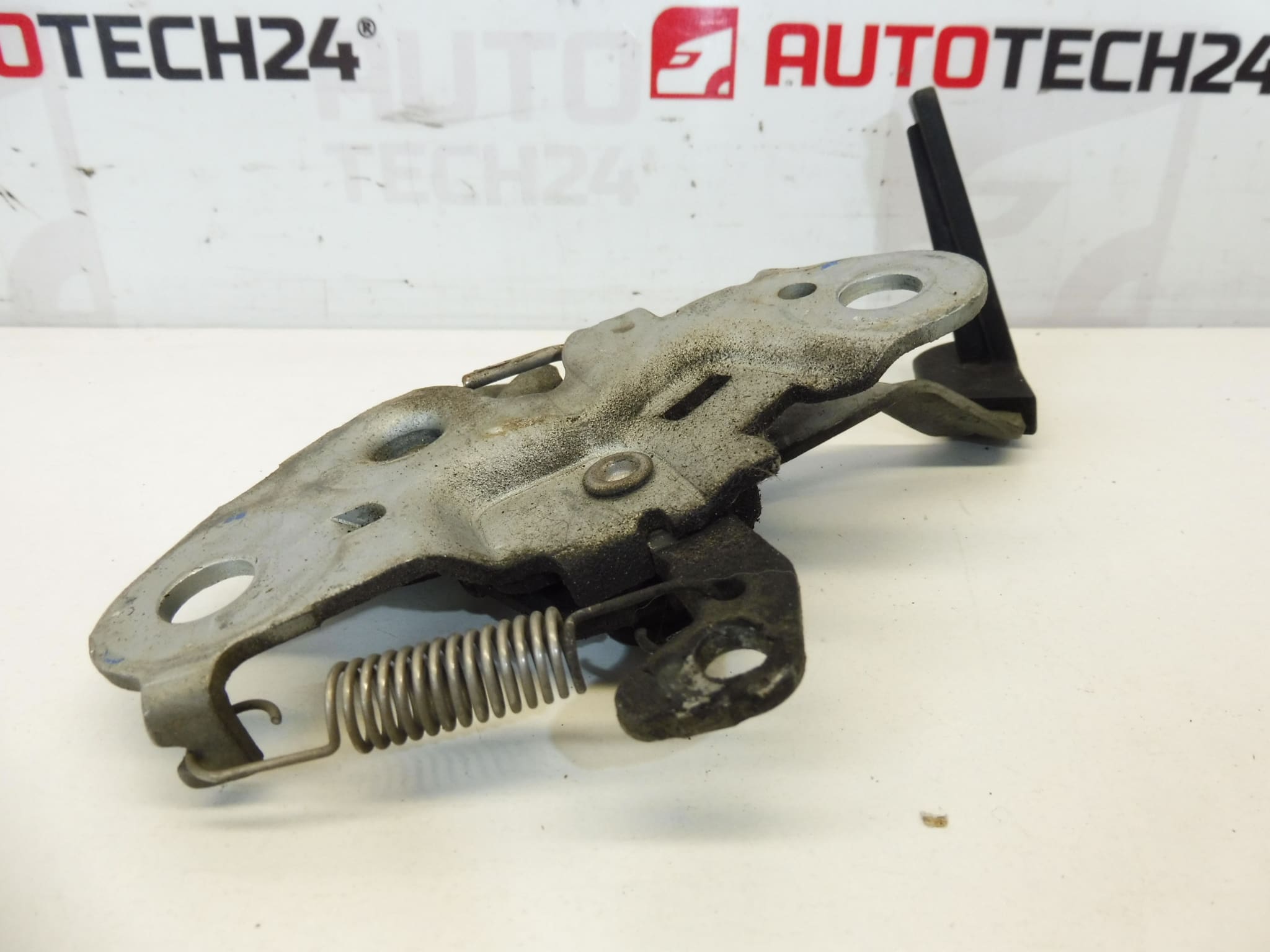 Κάλυμμα καπό Citroën C3 από το 2005 793482 - Image 2