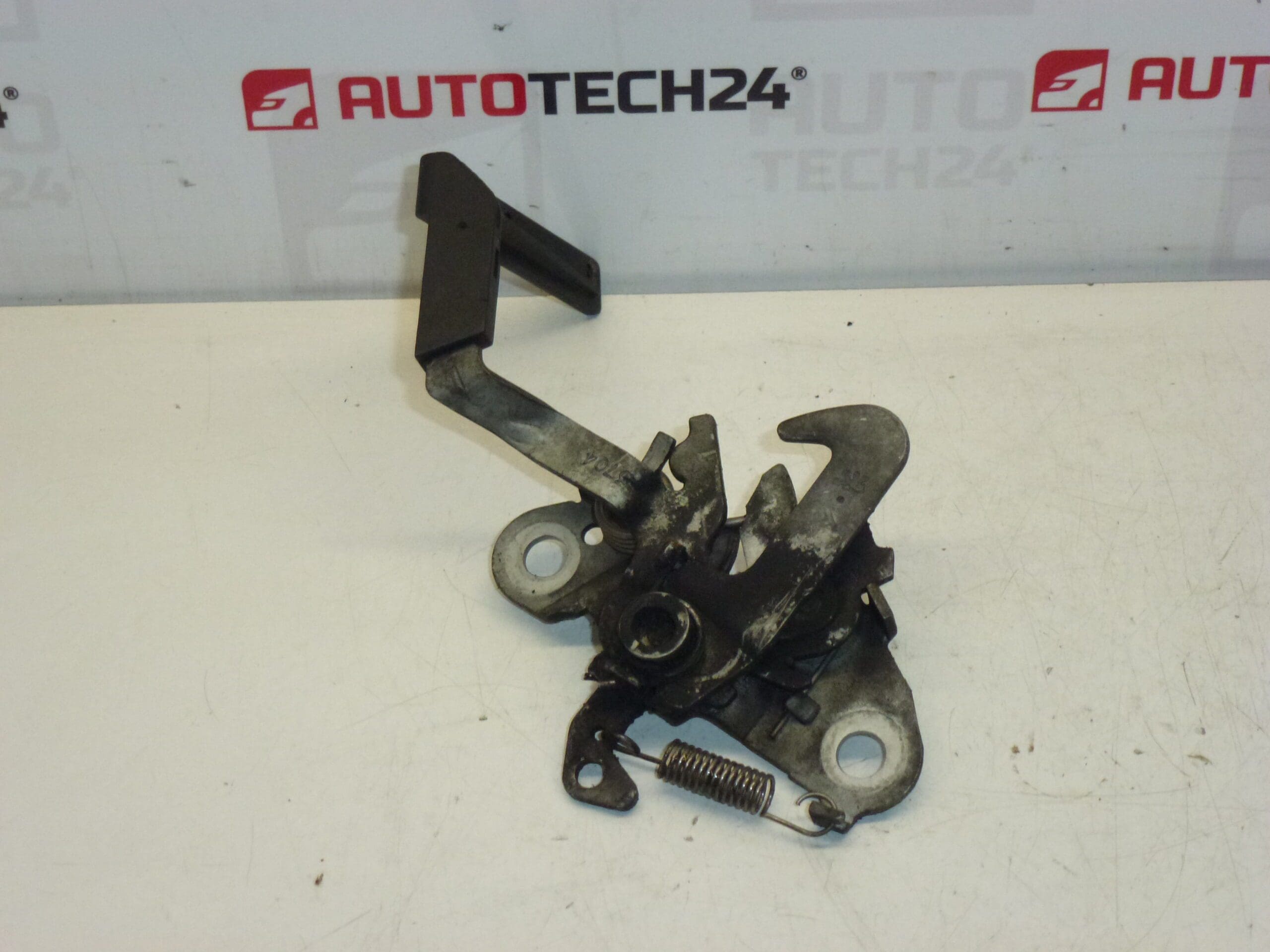 Φτερό καπό Citroën C3 έως το 2004 793468 - Image 2