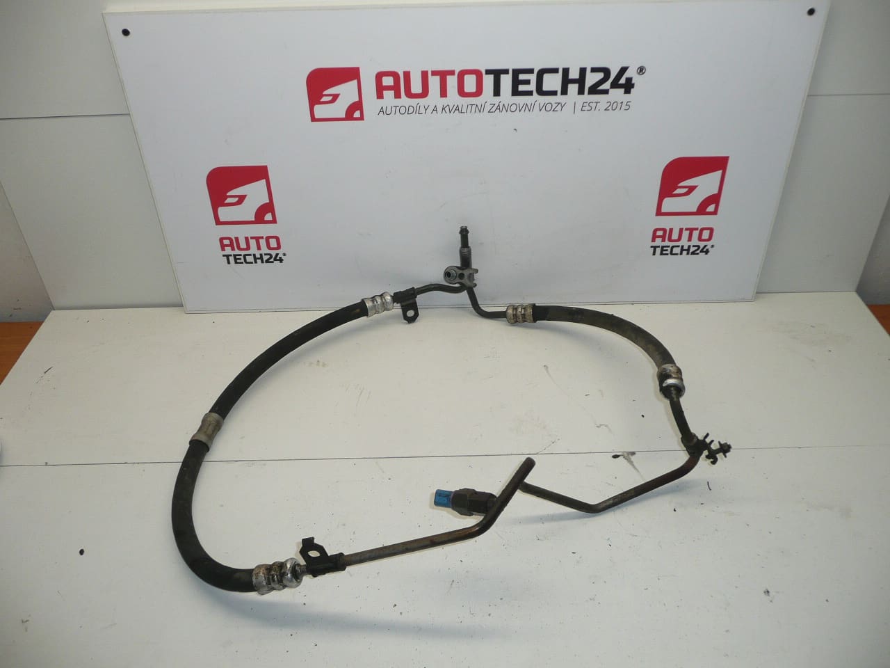 Σωλήνας τιμονιού Citroën Xsara Picasso 9678248580 4014Z5