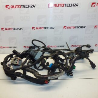 Πλεξούδα κινητήρα Citroën Peugeot 1.4HDI 8HR 9675234280