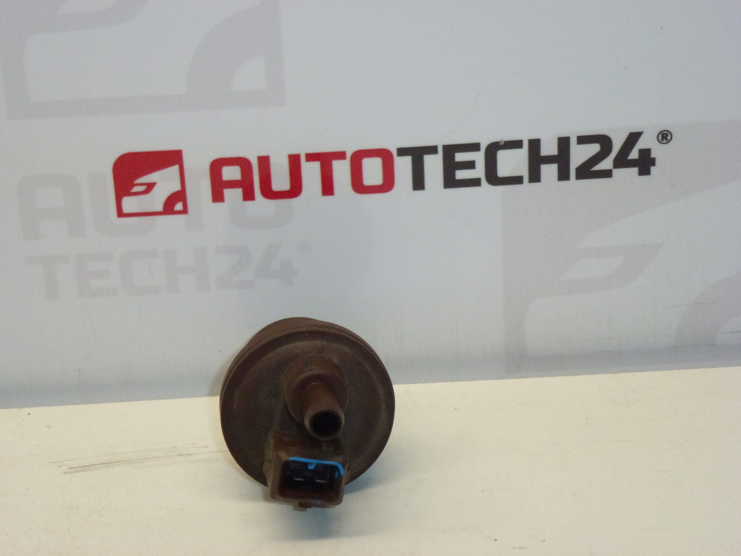 Βαλβίδα ενεργού άνθρακα Citroën Peugeot 2580008C 16287G