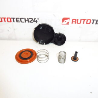 Κιτ διαφράγματος καλύμματος βαλβίδας 1.6 HDI 0248S0