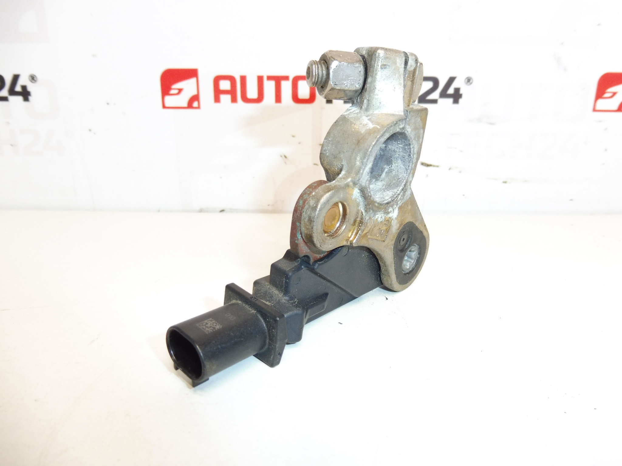 Citroën Peugeot Battery Charging Unit 9667109380 9802043480 6500KS