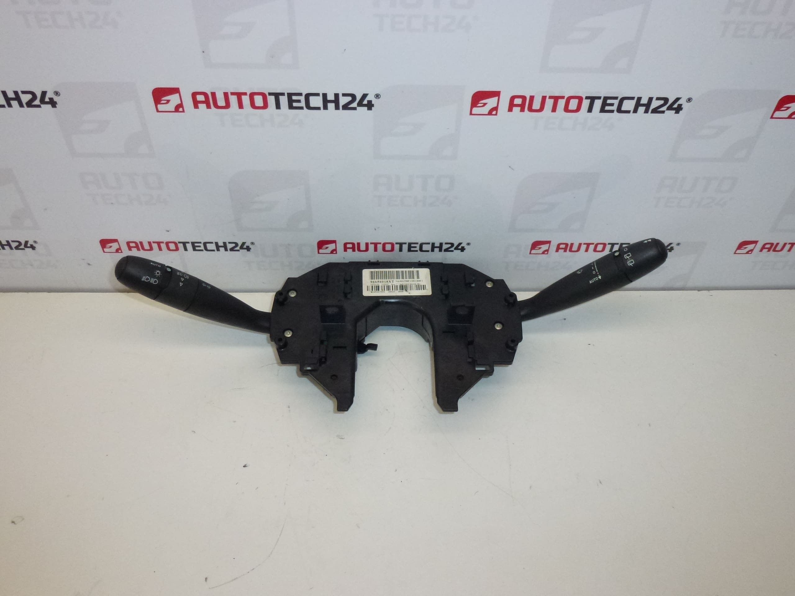 Πρόγραμμα οδήγησης Citroën C4 96656018XT 624348