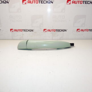 Citroën C3 III ELSB 1609240780 Πίσω πόρτα