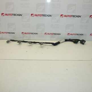 Πλεξούδα μπεκ DELPHI Citroën Peugeot 2.0 HDI 9662908580 6569Y5