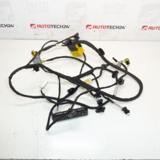 Citroen C4 Picasso Valeo 5243596 κάθισμα οδηγού