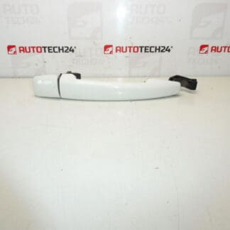 Citroën Peugeot EWBP 9101GH DOOR