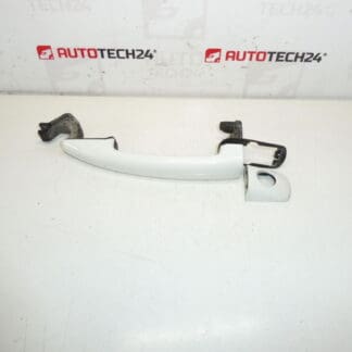 Citroën Peugeot Grassmark Grey Ewpb 9101GF