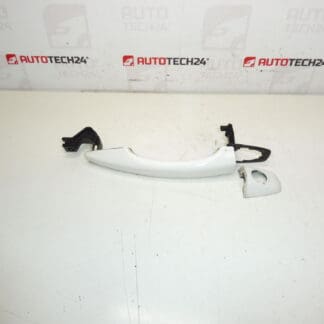 Citroën Peugeot DS EWP 9101LV Πόρτα οδηγού πόρτας