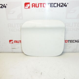 Peugeot 301 Citroen C-Elysee EWP 9677571480