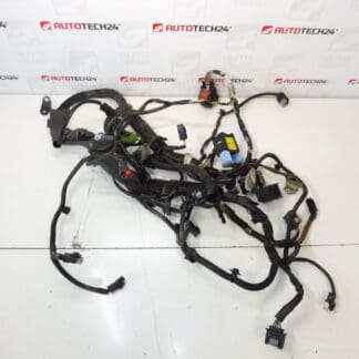 Citroën C5 X7 2.0 HDI 9663479480 Bundle Motor