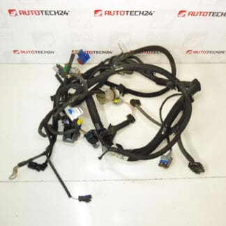 Πλεξούδα κινητήρα Citroën C3 II 1.4i KFT 9674808180 9675247080