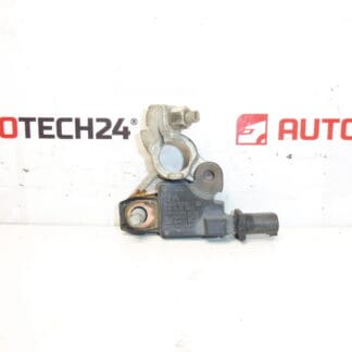 Citroën Peugeot 9666919780 Αρνητική μονάδα πόλων