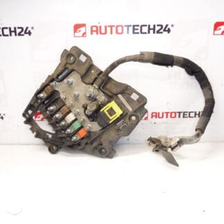 Citroën Peugeot 9675123880 Module Fuse