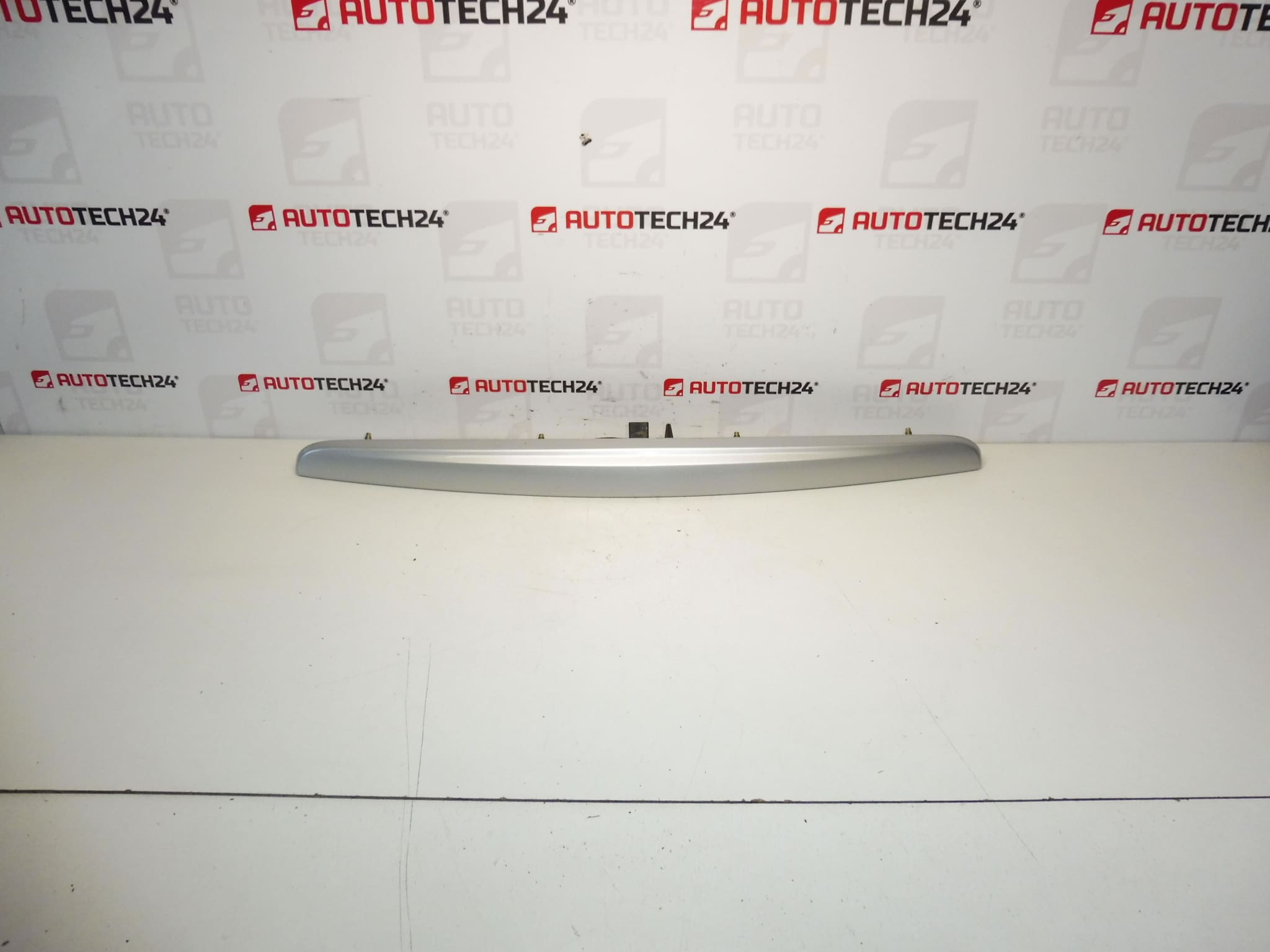 Λαβή Citroën C3 8742P0 EZRC