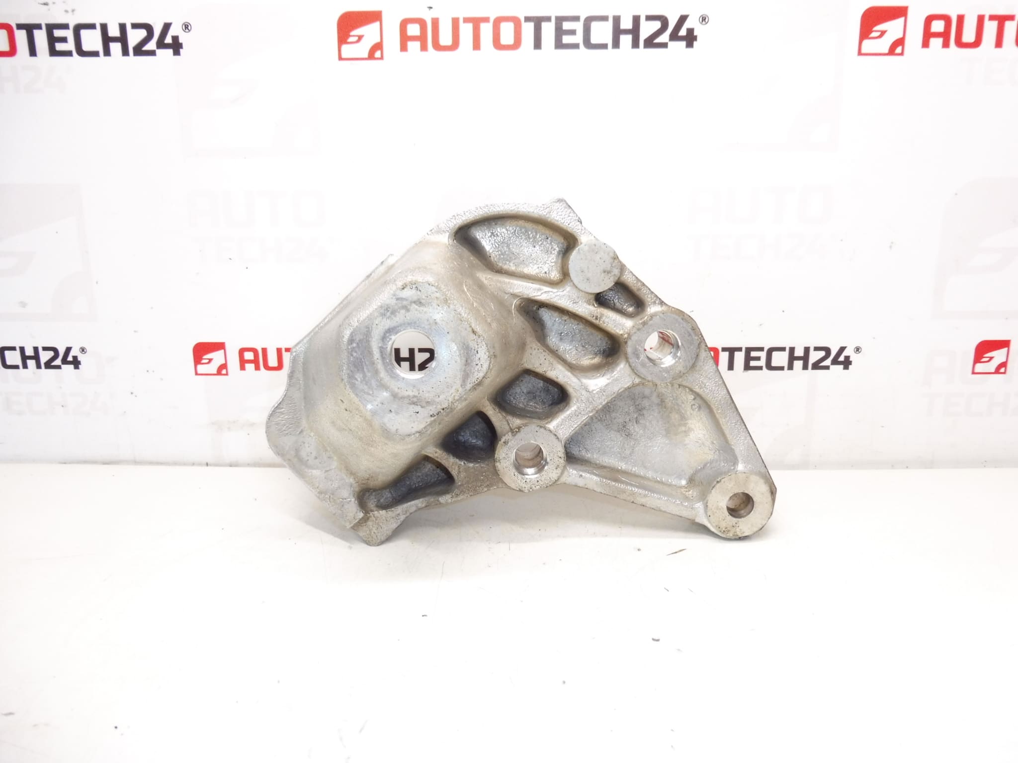 Motor Winge Right Citroën Peugeot 9647029580 1839C8