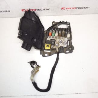 Citroën Peugeot 9801147680 66652x Module Fuse