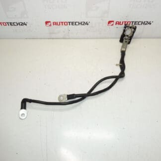 Μια θετική δέσμη για την μπαταρία Citroën Peugeot 1612229980