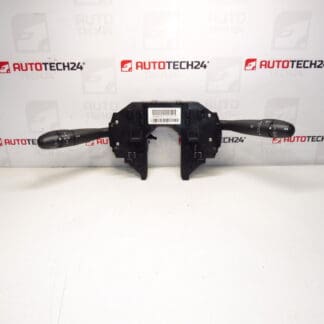 Προγράμματα οδήγησης Citroën C4 96644963XT 6242HJ 624346