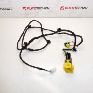 Πλεξούδα καθίσματος οδηγού Citroen C3 II A51 1608078880
