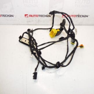 Ζώνη καθίσματος συνοδηγού Citroen C4 Picasso 6505V8