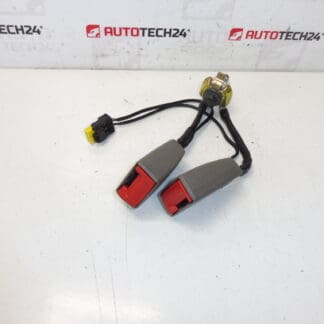 Κλειδαριά ζώνης ασφαλείας Citroën C5 II 8974W8