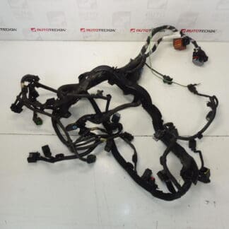 Πλεξούδα κινητήρα Citroën Peugeot 2.0HDI RHE 9670135380 658556