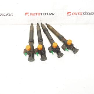 Σετ ψεκασμού Bosch 2.0 HDI χιλιόμετρα 141000 km 9674984080