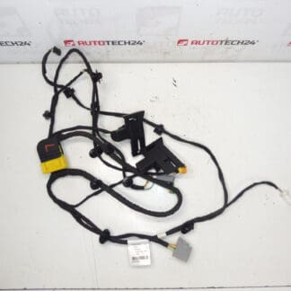 Citroen C4 Picasso Valeo Πλεξούδα καθίσματος οδηγού 6505T6 5243566