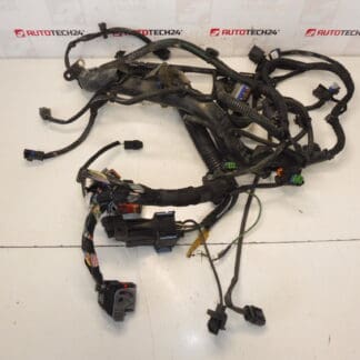 Πλεξούδα Citroën Peugeot 2.0HDI RHJ 9684608680 6569RY