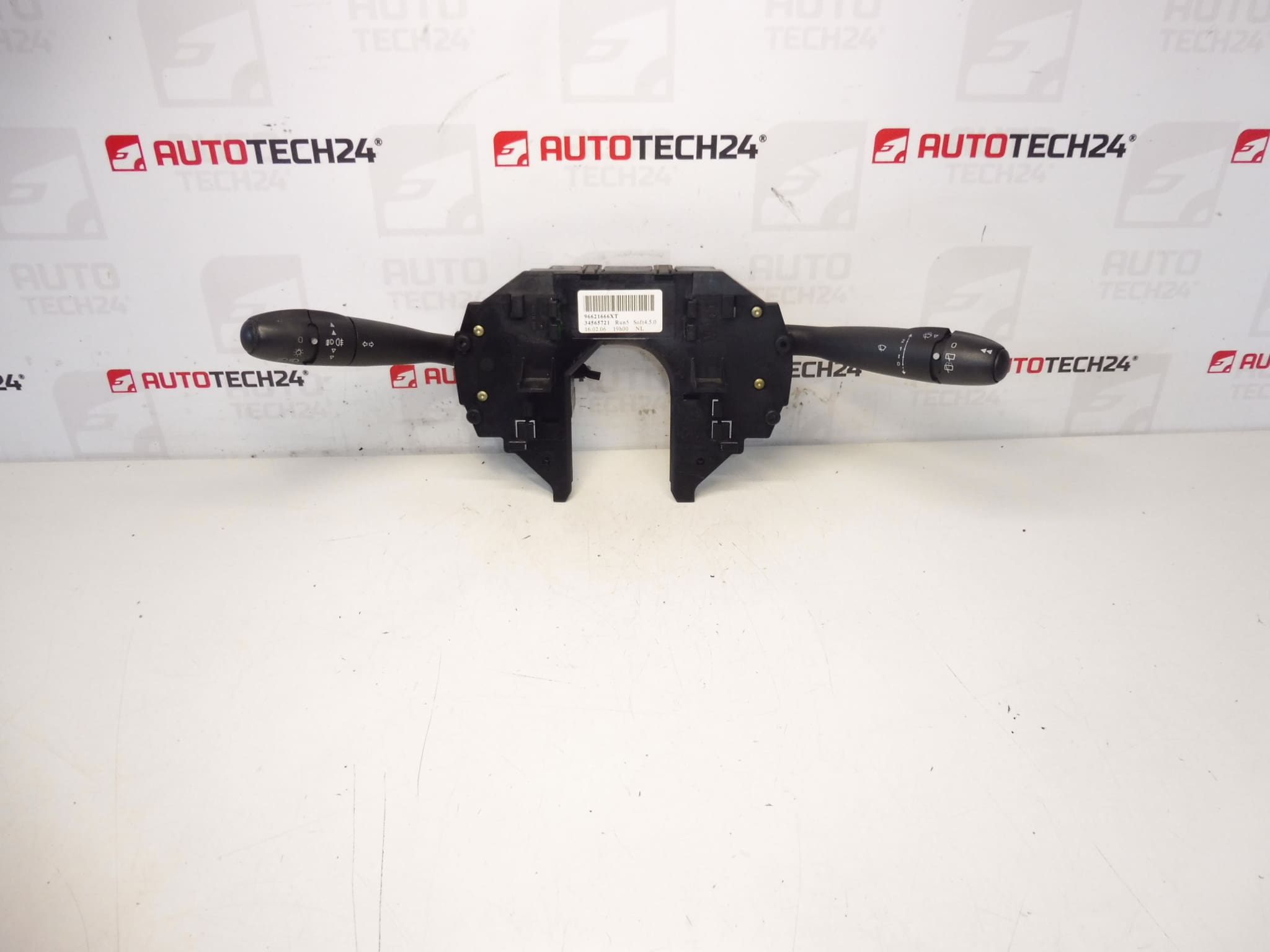 Προγράμματα οδήγησης Citroën C4 96621666XT 6242HJ 624346