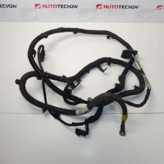 Θετικό καλώδιο μπαταρίας Citroën Peugeot 1.6 HDI 9673369380 564635