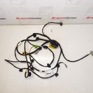 Ζώνη καθίσματος συνοδηγού Citroen C4 Picasso Valeo 6505W1 5243584